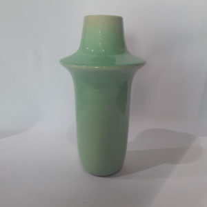 פטריה ירוק בהיר (מלאי 17 יחידות)(מיקום B3 ה)