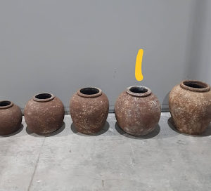 כד חום קונגו L (מלאי 8 יחידות)