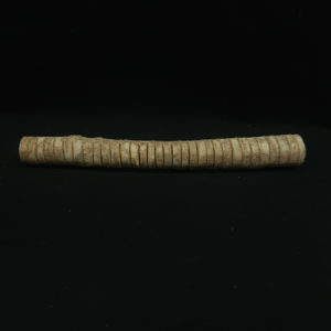 גזע פרוס לכרטיסים (מלאי 16 יחידות)