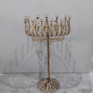 פמוט זהב קונגו (מלאי 32 יחידות)