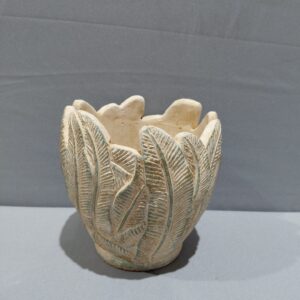 עציץ עלים קופציםM(מלאי 24)(מיקוםB5 ה)